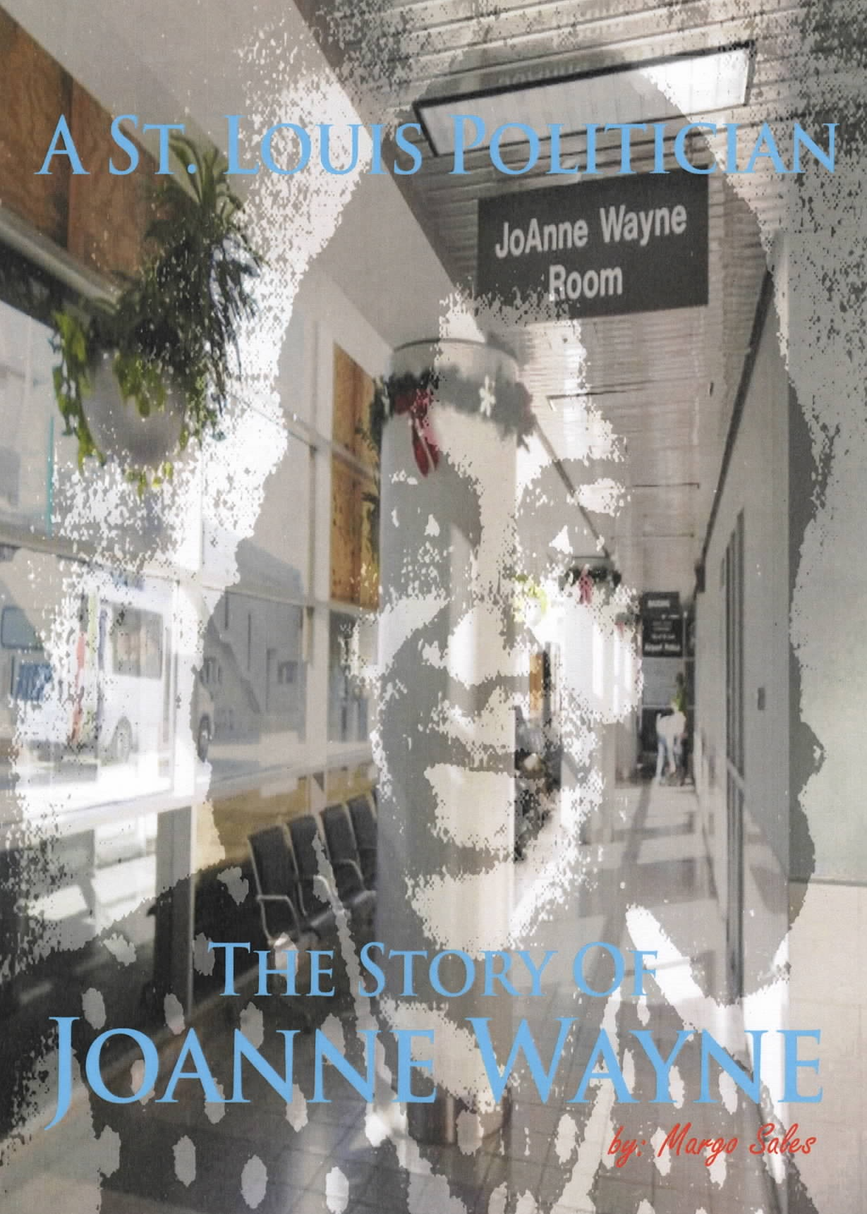 A St. Louis Politician  The JoAnne Wayne Story